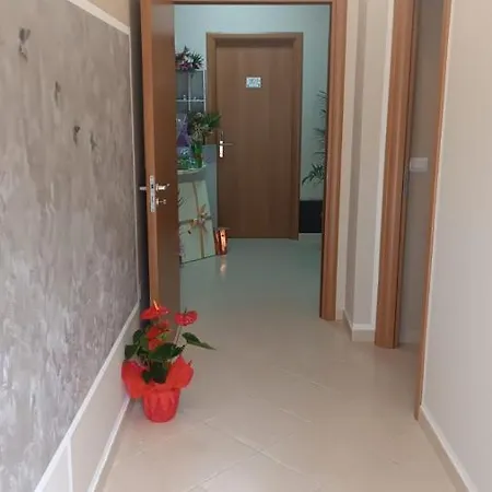 فندق مبيت وإفطار Michael's Dream